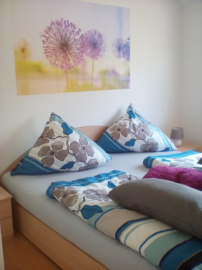 Walkenried Ferienwohnung Am Geiersberg المظهر الخارجي الصورة