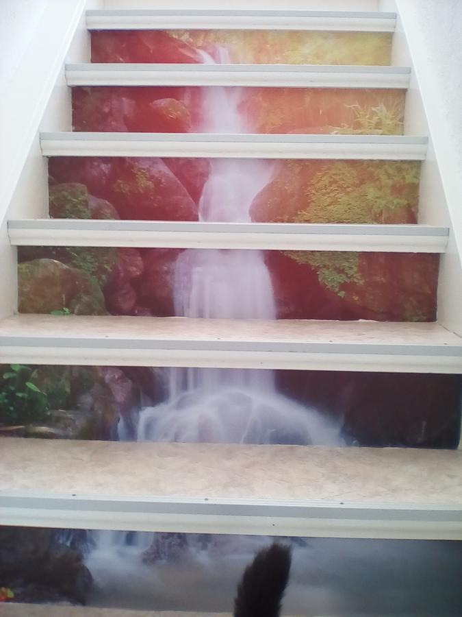 Walkenried Ferienwohnung Am Geiersberg المظهر الخارجي الصورة