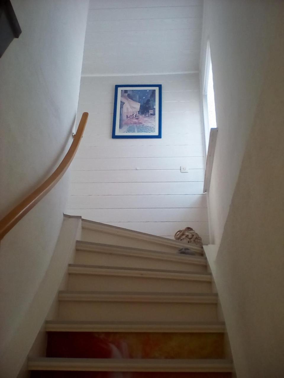 Walkenried Ferienwohnung Am Geiersberg المظهر الخارجي الصورة