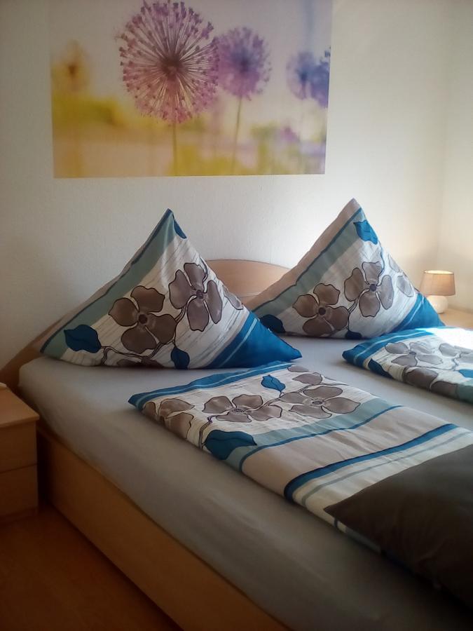 Walkenried Ferienwohnung Am Geiersberg المظهر الخارجي الصورة