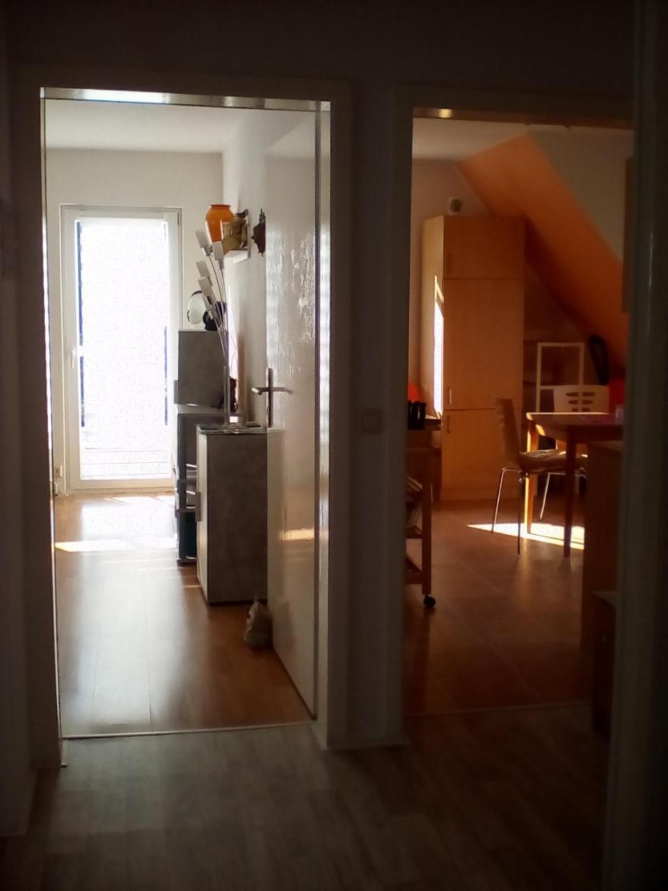Walkenried Ferienwohnung Am Geiersberg المظهر الخارجي الصورة