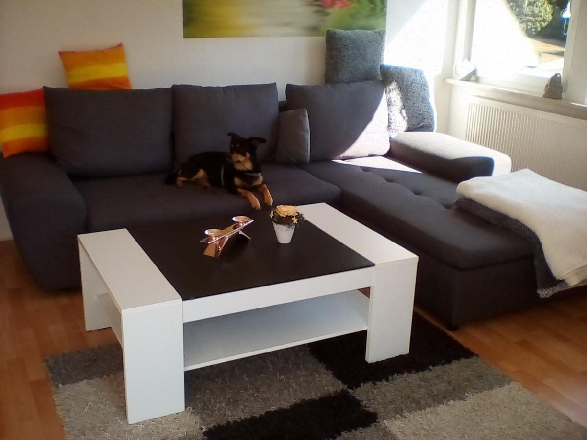 Walkenried Ferienwohnung Am Geiersberg المظهر الخارجي الصورة